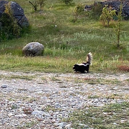 Cabanas Brellenthin Villa Cochrane Dış mekan fotoğraf